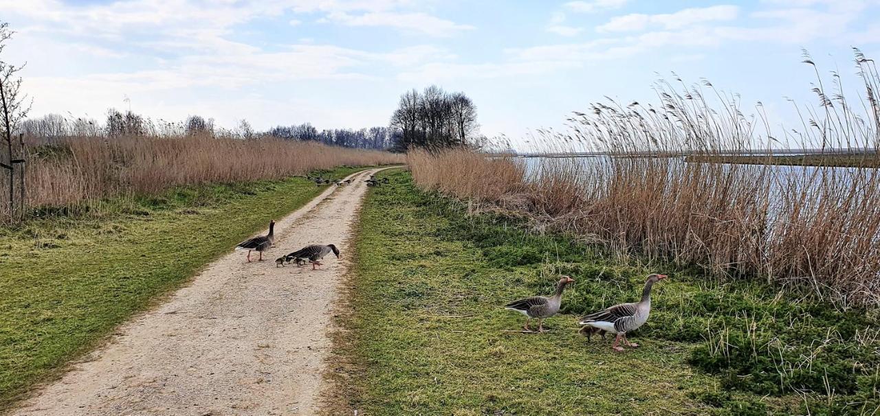 Inntermezzo Almere Bagian luar foto
